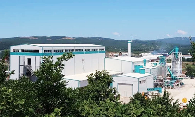Biostor Biomass Power Plant