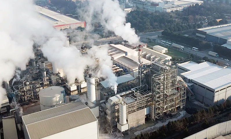 Mosbio Biomass Power Plant